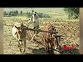"ተቀጣሪ ኢትዮጵያውያን በቀን ከ 2 ዶላር ያነሰ ገቢ ያገኛሉ" - ሪፖርት || የማዳበሪያ ዋጋ አለመወሰኑ ጥያቄ አስነሳ @ethiopian_reporter
