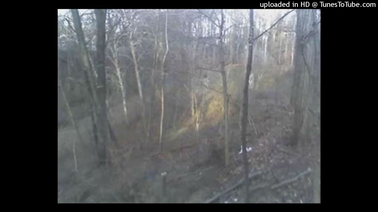 cranes clay10 studygroup type beat prod deporablev flicka333