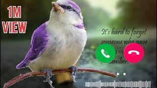 New message ringtone || best sms tone || new notification ringtone message tone || new trending