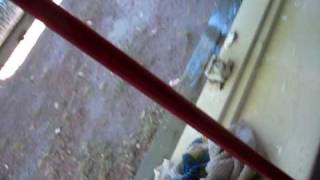 MVI_5753.AVI