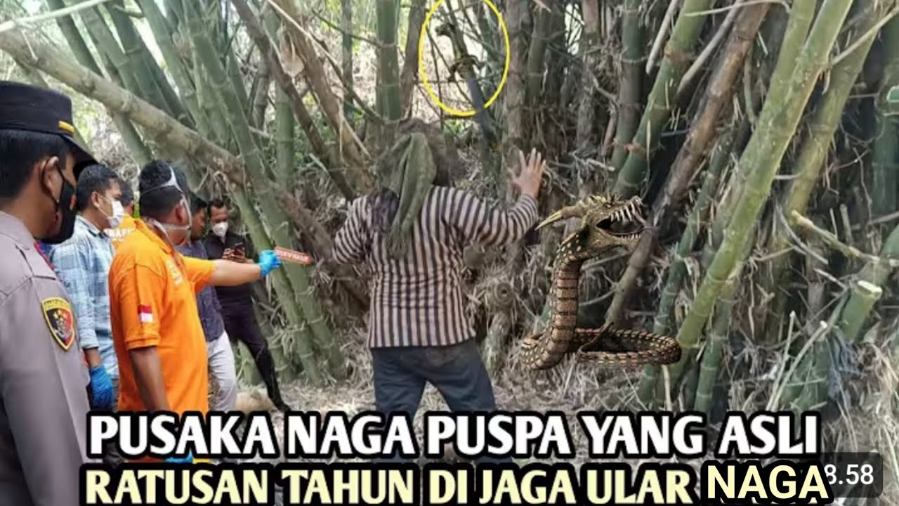 VIRAL..!! DUKUN SAKTI TEMUKAN PEDANG NAGA PUSPA YANG DI JAGA ULAR NAGA DI SUNGAI PURBA