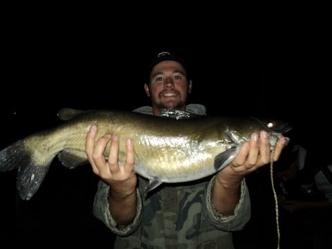 California fishing report california aqueduct