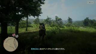 RDO d 20200211 ペガサス？