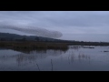 Murmuration, RSPB Mersehead, 27.01.2017