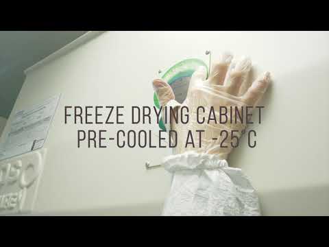 Biobanking: freeze drying protocol for long-term virus preservation