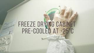 Biobanking: freeze drying protocol for long-term virus preservation