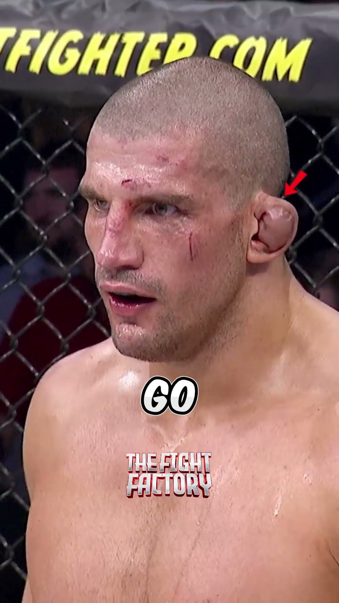 MMA IS SCARY
