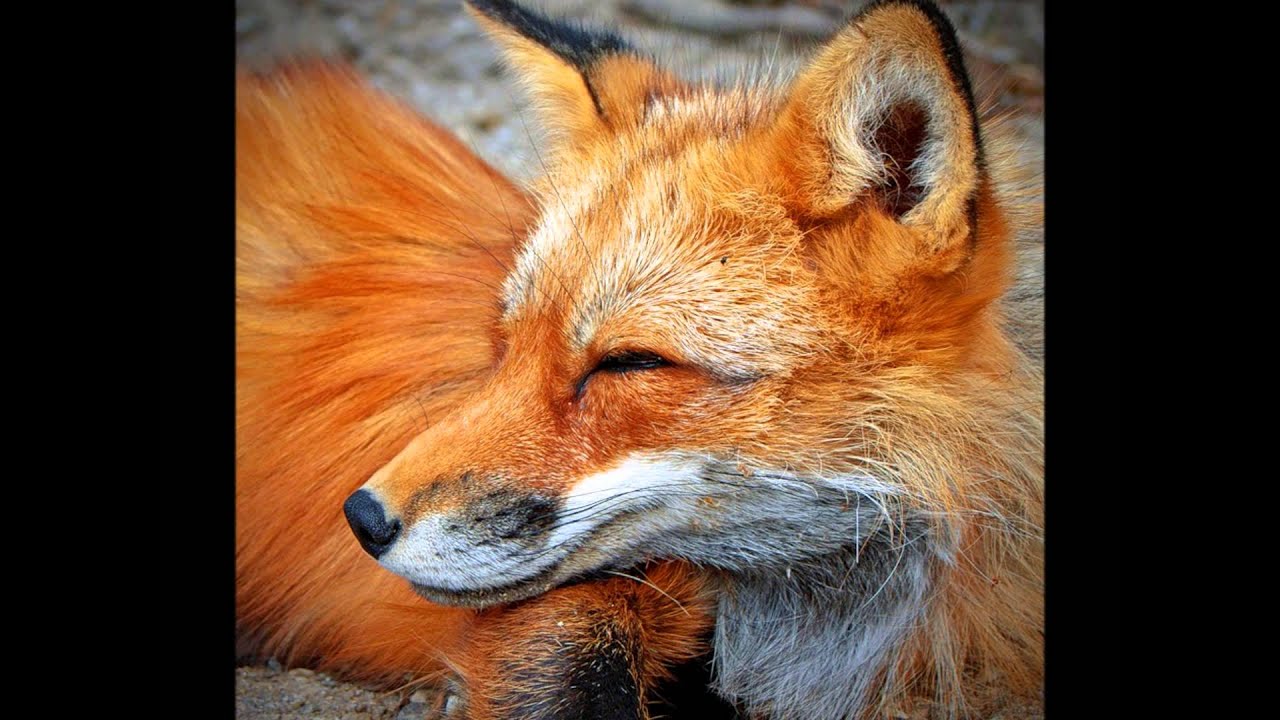 +Для тебя любовь моя - YouTube