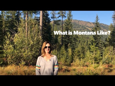 Video: Quận Montana là gì?
