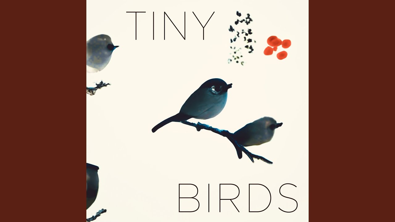 Guarda Tiny Birds su YouTube Guarda Tiny Birds su YouTube