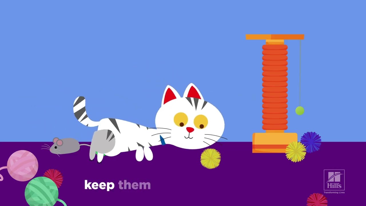 Could It Be Stress? 💙