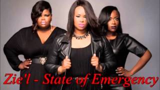 Video thumbnail of "Zie'l State of Emergency"
