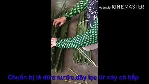 Bắt Thòi lòi - tập 1: Làm bẫy xà di bằng lá dừa nước - Vùng nước mặn TV