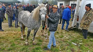 Na bugojanskom derneku Lučin se prodavalo i kupovalo uz atraktivno cjenkanje