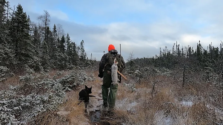 On The Trapline - Episode 2 - Setting for Mink and...