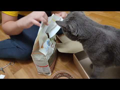 Сухой корм для взрослых кошек Purina Cat Chow Adult с уткой - лучший корм