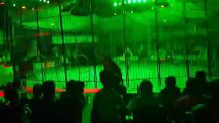 Lion attack on his black coach Sally in the circus Net Worth