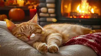 12 Hours Calming Music for Cats 🐈 Sleep Music for Cats 🎹🐱 Calm Cat Music | Soothing Piano Sleep Aid