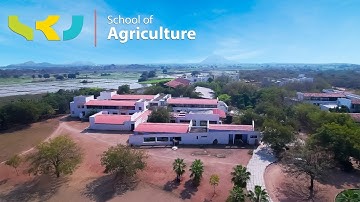 School of Agriculture: Where Tradition Meets Innovation | SR University |