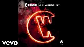 Wilkinson - What (My Nu Leng Remix)