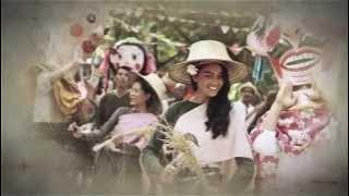 Until it becomes an 'old wound'