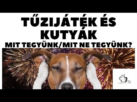 Videó: Csendes Tűzijáték: Növekvő Tendencia Az Ideges Kutyák és állatok Megkönnyítésére