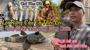 Câu Cá Trên Cạn - Lội Rừng Tìm Câu Cá Thòi Lòi,Loài Cá Kì Lạ Vùng Sông Nước - Bầy Lính Siêu Quậy