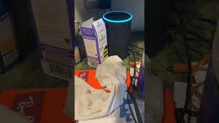 Famous Be careful how you name your Alexa timers Net Worth