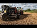 Beautiful Evening For Drilling Chicory, Maize Is Up In 7 Days! &amp; My Favourite Cows On Heat