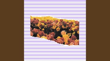 Classic Backdrops for Reclining Change