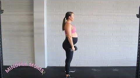 Dumbbell Bent Over Row - Pregnant