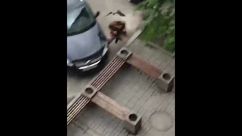 КИЕВ ВОРОНЫ НАПАЛИ НА ЧЕЛОВЕКА