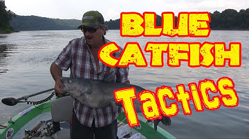 Current Seams - A good place to find BIG catfish in rivers - locating catfish in rivers