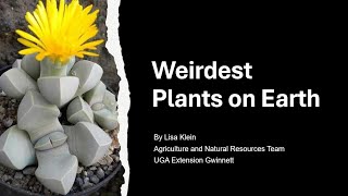 Weirdest Plants on Earth