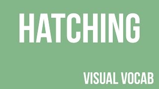 Hatching defined - From Goodbye-Art Academy
