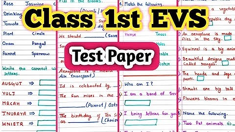 Class 1 Evs Half Yearly Exam Paper| Class 1 Evs Worksheet| Evs Worksheet for Class 1 Ukg
