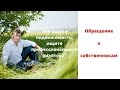 Обращение к собственникам | Продать квартиру в Пензе |  Купить квартиру в Пензе | Калинин Сергей