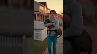 Young Man Saves Starving Dog On Street Heartwarming Stray Dog Rescue & Adoption Story Emotional