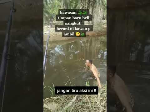 Video: Adakah motor trolling menakutkan ikan?