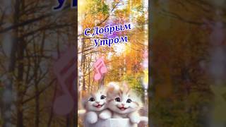 С Добрым Утром и Хорошим Днем#доброеутро #сдобрымутречком