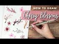 How to Draw Cherry Blossom Flowers! | DOODLE WITH ME + Tutorial!