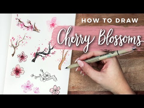 Video: How To Draw A Sakura Flower