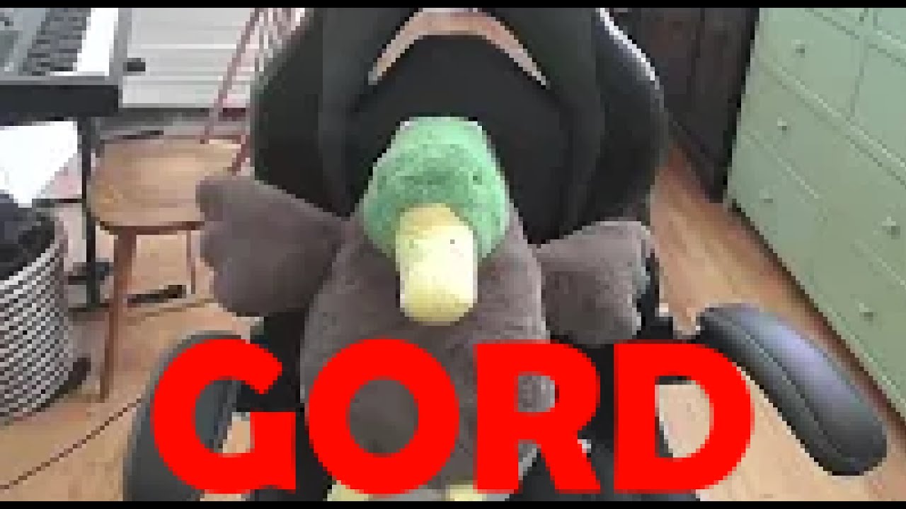 Meet Gord - YouTube