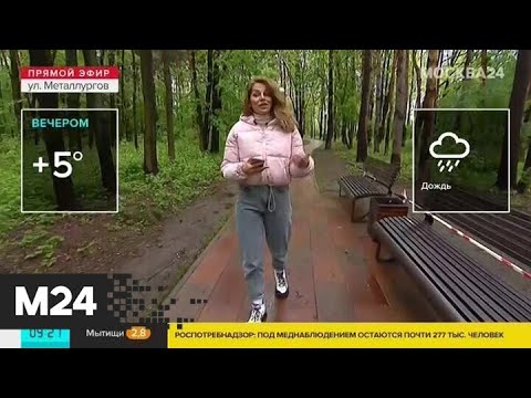 "Утро": осадки в Москве будут продолжаться весь день - Москва 24