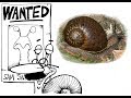 Dr john stanisics snail tales