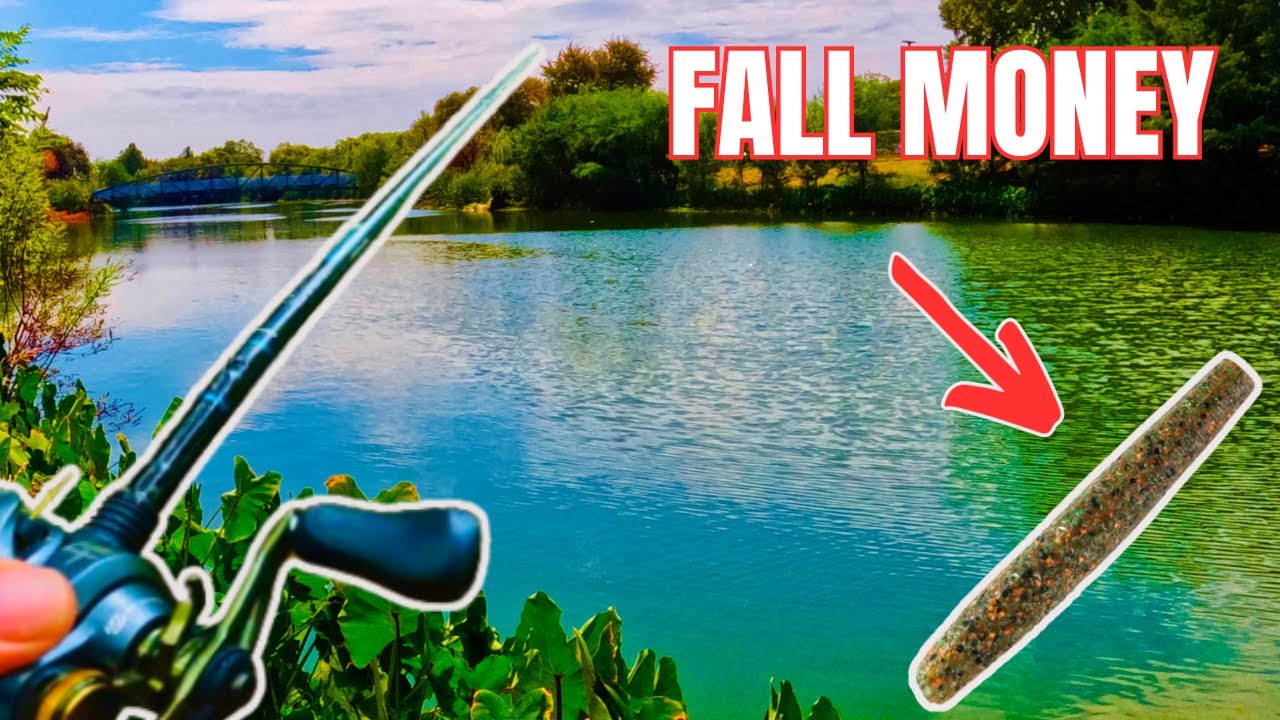 FINESSE FALL Bass EASY – BIG BASS Fishing TIPS  #bassfishing #fishing #fishingvideo