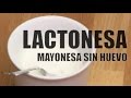 CÓMO HACER LACTONESA | Mayonesa sin huevo