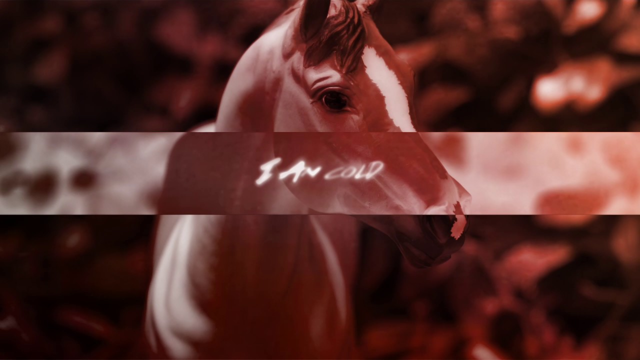 [ Isle of Flightless Birds ] Breyer Horse Music Video YouTube