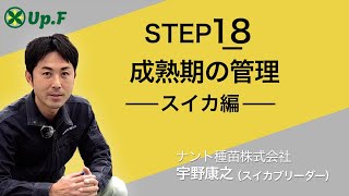 【Up.FTV スイカ編 STEP18】成熟期の管理