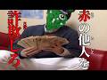 【ブレロ】限りなく合法に近いダイス feat.坪池勝史
